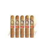 Perdomo 20th Anniversary Connecticut Robusto - Image 2