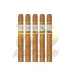 Perdomo Lot 23 Connecticut Churchill - Image 3