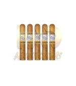 Perdomo Lot 23 Connecticut Gordito - Image 3