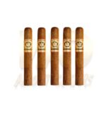 AF Don Carlos No. 3 - Image 3