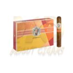 AVO Syncro Nicaragua Fogata Toro