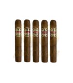 Quesada 1974 Robusto - Image 3