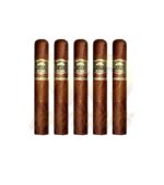 Casa Magna Colorado Gran Toro - Image 3