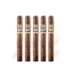 Casa Magna Colorado Churchill - Image 3