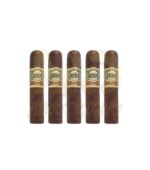 Casa Magna Colorado Torito - Image 3