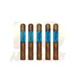 Camacho Ecuador Robusto - Image 3
