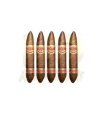 Casa Magna D Magnus II - Caligua Perfecto Press - Image 3