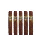 Casa Magna Colorado Gigantor - Image 3