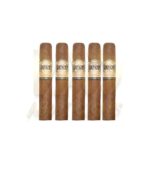Casa Magnna Connecticut Robusto - Image 3