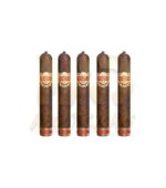 Casa Magna D Magnus II - Tiberius Eclipse - Image 3