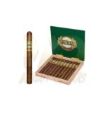 Casa Magna Liga F Churchill