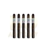 Casa Magna Oscuro Robusto - Image 2