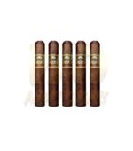 Casa Magna Colorado Gordo Real Box Press - Image 3