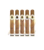 Ashton Classic Double Magnum - Image 3