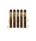 Ashton VSG Robusto - Image 3