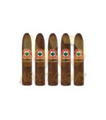 Joya De Nicaragua Antano 1970 Gran Consul - Image 3
