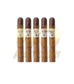 Joya De Nicaragua Cabinetta Series Toro - Image 3