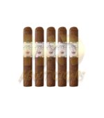 Joya De Nicaragua Silver Robusto - Image 3