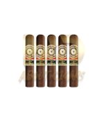 Perdomo 20th Anniversary Sungrown Robusto - Image 3