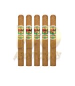 San Cristobal Elegancia Churchill - Image 3