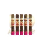 San Cristobal Ovation Opulence - Image 3
