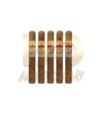 San Cristobal Quintessence Corona Gorda - Image 3