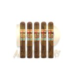 San Cristobal Quintessence Robusto - Image 3