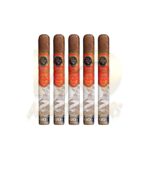 Rocky Patel Sixty Robusto - Image 3